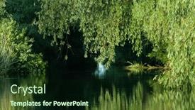  Presentation with green foliage - Slide deck consisting of beautiful-bright-green-summer-foliage background and a wine colored foreground