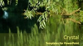  Presentation with green foliage - Slide set having beautiful-bright-green-summer-foliage background and a tawny brown colored foreground