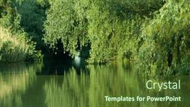  Presentation with green foliage - PPT layouts enhanced with beautiful-bright-green-summer-foliage background and a tawny brown colored foreground