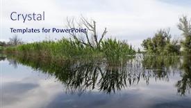  Presentation with green foliage - Slides enhanced with beautiful-bright-green-summer-foliage background and a sky blue colored foreground
