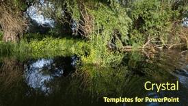  Presentation with green foliage - Presentation with beautiful-bright-green-summer-foliage background and a tawny brown colored foreground