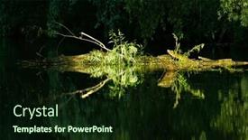  Presentation with green foliage - PPT theme having beautiful-bright-green-summer-foliage background and a  colored foreground