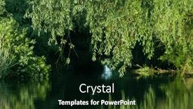  Presentation with green foliage - Slide deck consisting of beautiful-bright-green-summer-foliage background and a black colored foreground