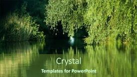  Presentation with green foliage - Presentation having beautiful-bright-green-summer-foliage background and a tawny brown colored foreground