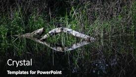  Presentation with green foliage - Presentation theme consisting of beautiful-bright-green-summer-foliage background and a black colored foreground