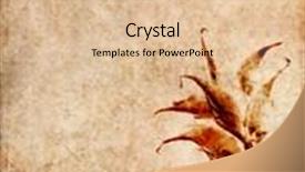  Presentation with brown floral - Cool new PPT theme with beautiful brown background image with interesting texture and floral elements with plenty of space for text backdrop and a lemonade colored foreground
