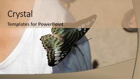  Presentation with butterflies - PPT layouts featuring beautiful butterflies and moths background and a coral colored foreground