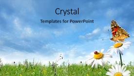  Presentation with summer - Presentation theme enhanced with beautiful butterfly - nice summer day background and a teal colored foreground