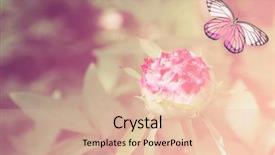  Presentation with beautiful nature in twilight - PPT layouts featuring beautiful butterfly and flower closeup background and a lemonade colored foreground