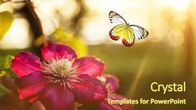  Presentation with beautiful nature in twilight - Theme enhanced with beautiful butterfly and flower closeup background and a  colored foreground