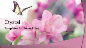  Presentation with forest beautiful spring nature - Audience pleasing PPT theme consisting of beautiful butterfly flying in spring backdrop and a  colored foreground