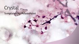  Presentation with forest beautiful spring nature - Presentation theme consisting of beautiful butterfly flying in spring background and a lemonade colored foreground