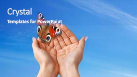  Presentation with butterfly colombia - Audience pleasing PPT theme consisting of beautiful butterfly backdrop and a teal colored foreground