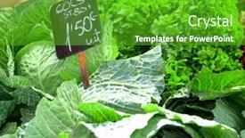  Presentation with cabbage - Colorful presentation enhanced with beautiful-cabbage-at-boqueria-market backdrop and a shamrock green colored foreground