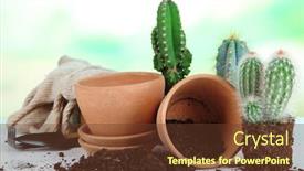  Presentation with soil - PPT theme featuring beautiful cactuses empty flowerpots and soil close up background and a tawny brown colored foreground