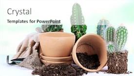  Presentation with soil - Beautiful presentation theme featuring beautiful cactuses empty flowerpots and soil close up backdrop and a white colored foreground