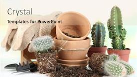  Presentation with soil - Slide deck consisting of beautiful cactuses empty flowerpots and soil close up background and a lemonade colored foreground