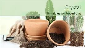  Presentation with soil - Theme having beautiful cactuses empty flowerpots and soil close up background and a mint green colored foreground