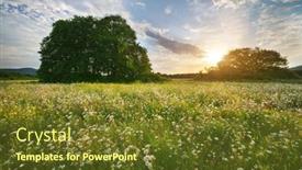  Presentation with beautiful nature - Theme having beautiful-camomile-meadow-in-mountain background and a tawny brown colored foreground