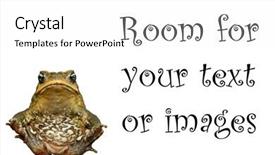  Presentation with cans canned tuna isolated - Slide deck featuring beautiful cane toad bufo marinus background and a white colored foreground