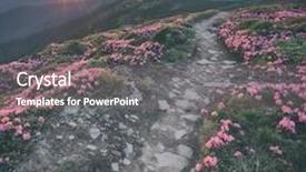  Presentation with filter - Presentation theme having beautiful carpathian mountains in spring time chornohora range ukraine europe toned like instagram filter background and a gray colored foreground