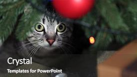  Presentation with beautiful reof christmas season - PPT theme enhanced with beautiful cat near christmas tree background and a dark gray colored foreground
