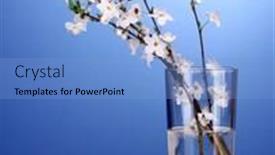  Presentation with cherry blossom - PPT theme enhanced with beautiful-cherry-blossom-in-vase background and a light blue colored foreground