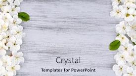  Presentation with cherry blossom - Presentation theme with beautiful cherry blossom on wooden background background and a light gray colored foreground