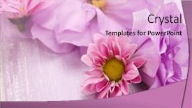  Presentation with purple flowers - Amazing PPT theme having beautiful chrysanthemum and artificial eustoma flowers on purple wooden background backdrop and a lavender colored foreground