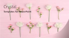  Presentation with chrysanthemum - Beautiful slide set featuring beautiful-chrysanthemum-and-hypericum backdrop and a lemonade colored foreground