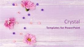  Presentation with purple flowers - Colorful PPT theme enhanced with beautiful-chrysanthemum-flowers-on-purple backdrop and a lemonade colored foreground