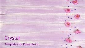  Presentation with purple flowers - Slides consisting of beautiful chrysanthemum flowers on purple background and a lemonade colored foreground