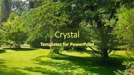  Presentation with clearing storm - PPT theme consisting of beautiful clearing in the woods in sunlight background and a tawny brown colored foreground