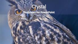  Presentation with barn - Slide deck enhanced with 07 nature - beautiful close ups of barn background and a ocean colored foreground