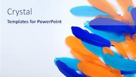  Presentation with feather - Colorful slide deck enhanced with beautiful-colored-feathers-carnival backdrop and a sky blue colored foreground