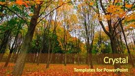  Presentation with foggy forest - Presentation theme consisting of beautiful colorful autumn picturesque park background and a tawny brown colored foreground