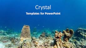  Presentation with tropical reef fish - Colorful PPT theme enhanced with beautiful-colorful-coral-reef backdrop and a gray colored foreground