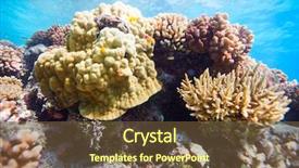  Presentation with pacific - Audience pleasing PPT layouts consisting of beautiful colorful coral reef in pacific ocean backdrop and a tawny brown colored foreground
