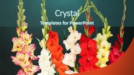  Presentation with football blue colors - Presentation theme enhanced with beautiful colorful gladiolus on blue background and a ocean colored foreground