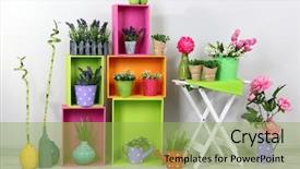  Presentation with elements - Audience pleasing theme consisting of beautiful colorful shelves with decorative backdrop and a yellow colored foreground