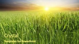  Presentation with beautiful green - Amazing theme having beautiful colorful sunset over green backdrop and a tawny brown colored foreground