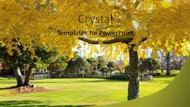  Presentation with new zealand - Theme consisting of beautiful-colorful-trees-and-pond background and a gold colored foreground