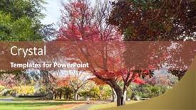  Presentation with new zealand - PPT layouts featuring beautiful-colorful-trees-and-pond background and a red colored foreground