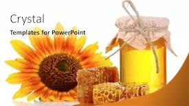  Presentation with sunflower - Cool new theme with beautiful combs honey and sunflower isolated on white backdrop and a white colored foreground