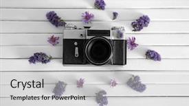  Presentation with purple flowers - Beautiful slides featuring beautiful composition of vintage camera backdrop and a light gray colored foreground