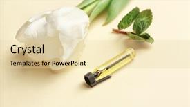  Presentation with sample - Cool new slides with beautiful composition with perfume sample tulip and mint on color background backdrop and a lemonade colored foreground