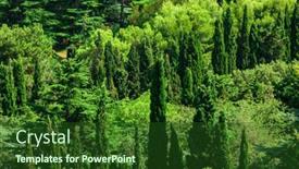  Presentation with summer - Slide deck with beautiful-coniferous-park-on-summer background and a forest green colored foreground