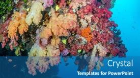  Presentation with under water life - Slides consisting of beautiful-coral-reef-in-fiji background and a ocean colored foreground