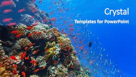  Presentation with fish at sea - Beautiful PPT layouts featuring beautiful coral reef with fish backdrop and a teal colored foreground
