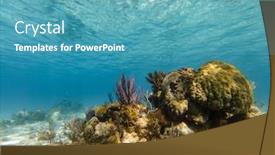  Presentation with coral - Cool new slide deck with beautiful-coral-reefagainst-water-surface backdrop and a teal colored foreground